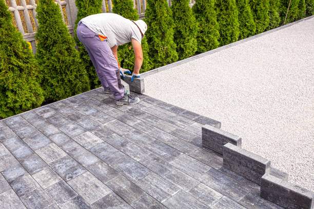 Best Local Driveway Pavers  in Chevy Chase View, MD